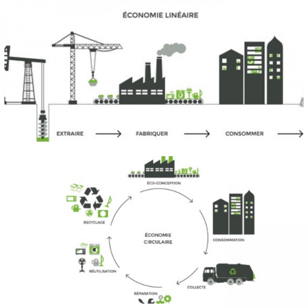 La Feuille de route pour l’économie circulaire (FREC)... - Maria Portugal-World View 