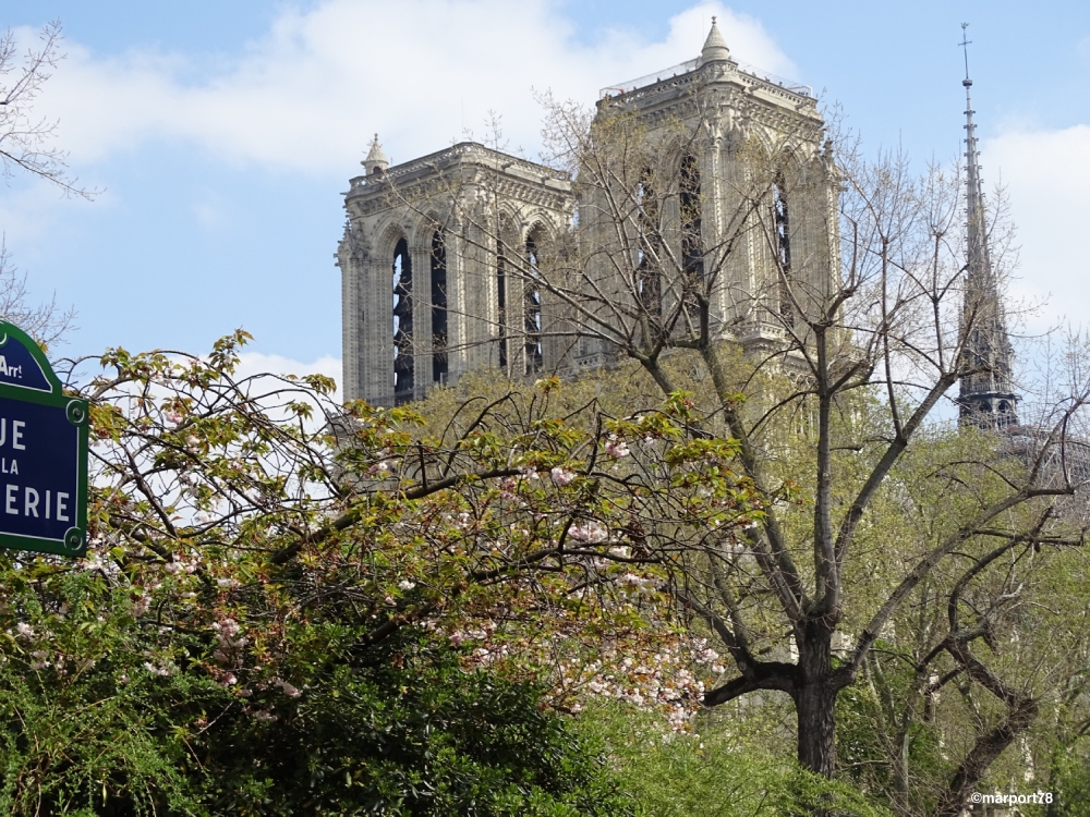 Notre Dame de Paris for ever!! - Maria Portugal-World View 
