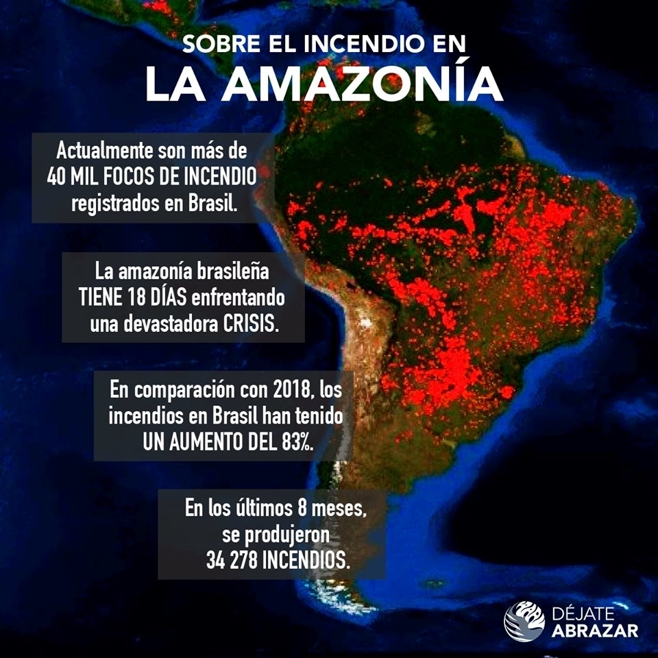 Amazonia en llamas - www.mariaportugal.net